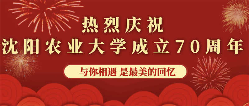 愛心捐贈助學，真情回報母校